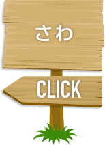 さわ